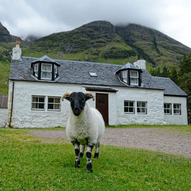 Scotlands Countryside 2012 — photograph 61 of 99