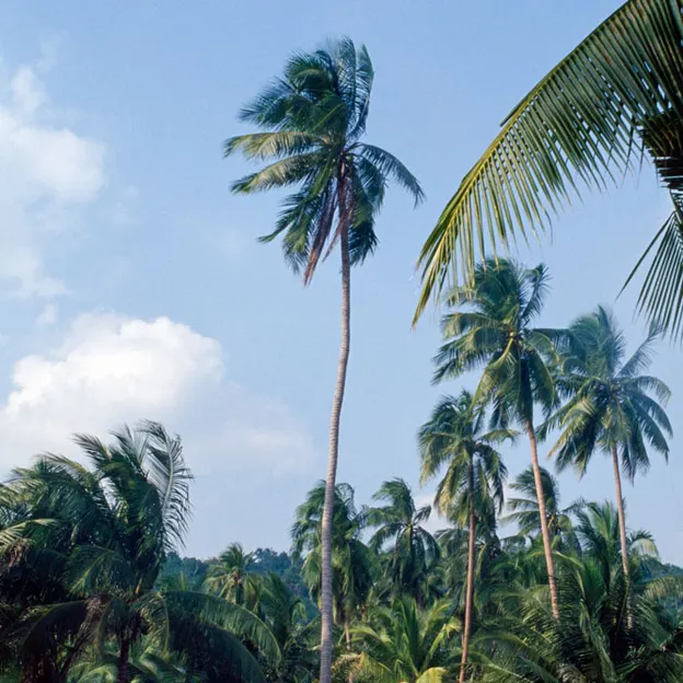 Thailand 2002 — photograph 13 of 42