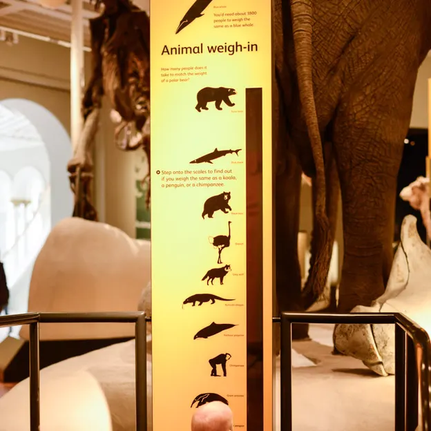 A Day At The Museum — photograph 12 of 40