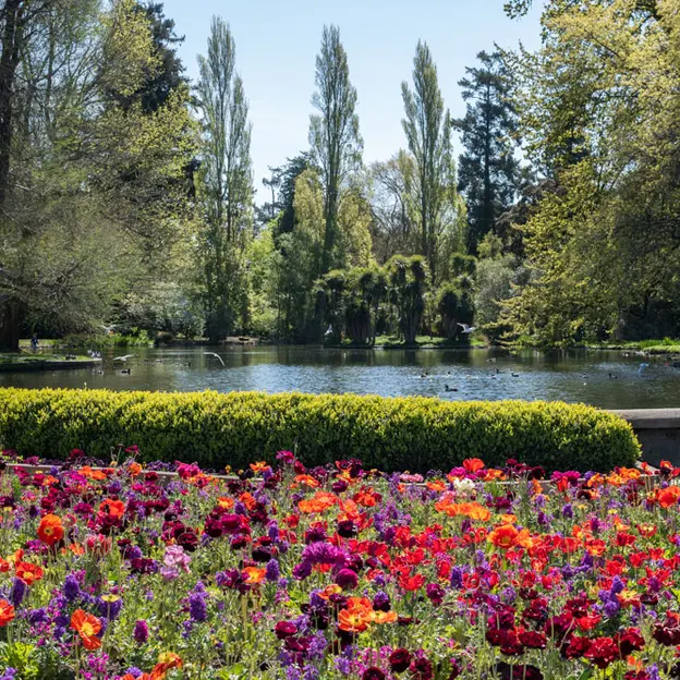2.10.2020 Trip To Timaru (part 1)  — photograph 43 of 141