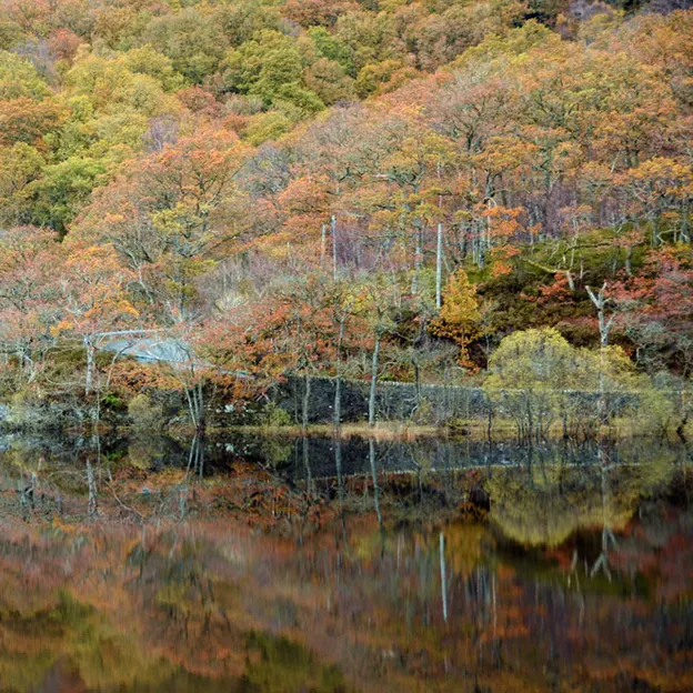 Scotlands Countryside 2012 — photograph 22 of 99