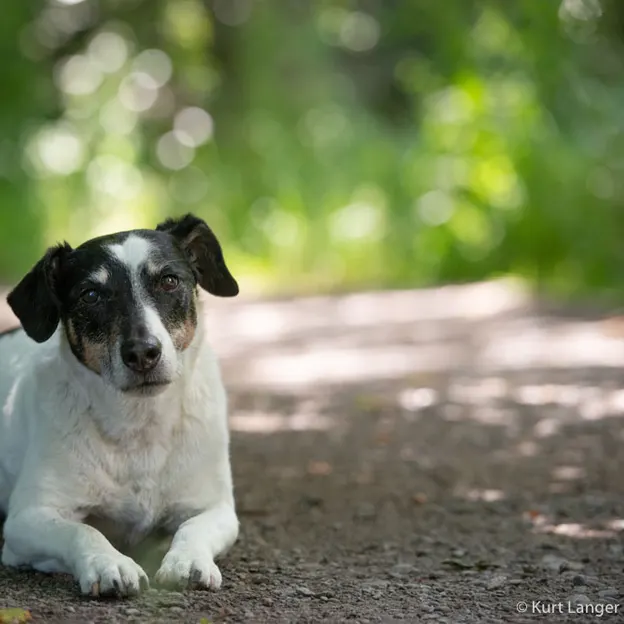 Maxwells Family Portrait — photograph 66 of 77