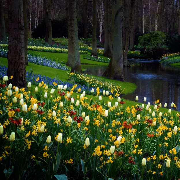 Keukenhof 2012 — photograph 33 of 33