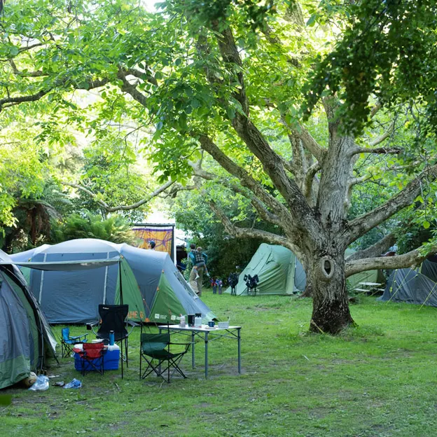 27.12.2020 Camping At Little River — photograph 47 of 100