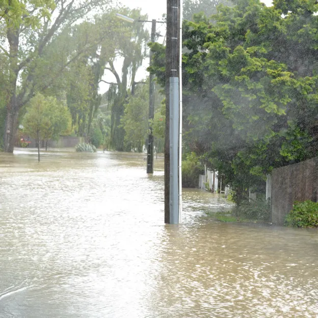The Big Rainfall — photograph 17 of 50