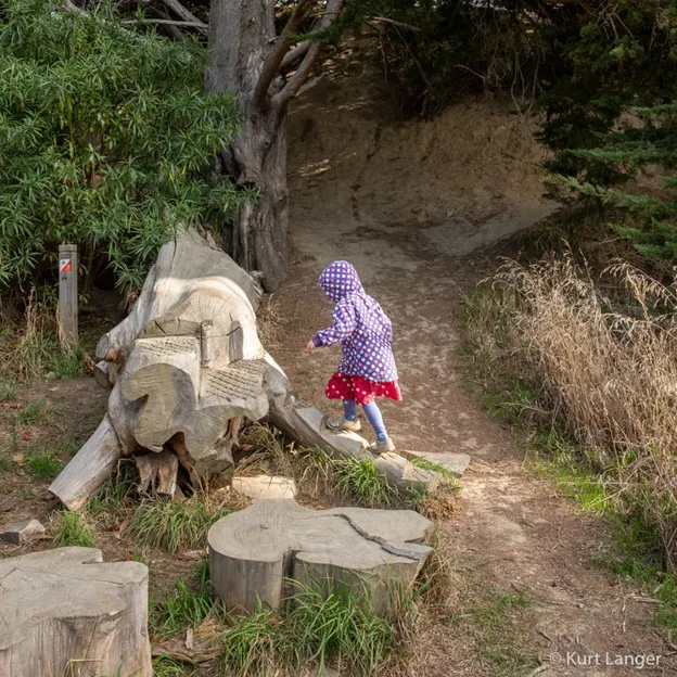 14.4.2020 Halswell Quarry Park — photograph 25 of 46