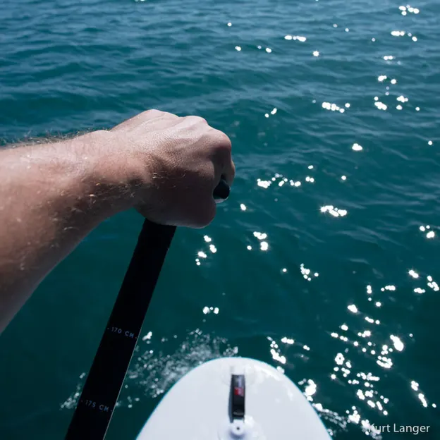 10.2.2020 SUPing From Sumner To Taylors  — photograph 14 of 17