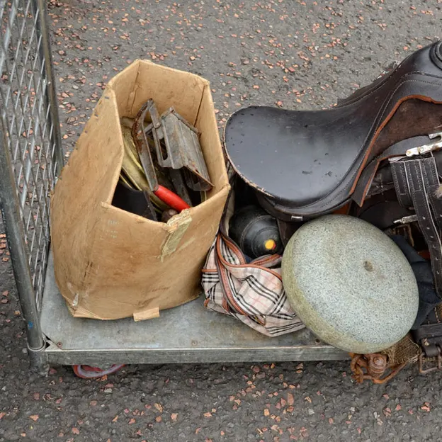 Glasgow 2012 — photograph 203 of 228