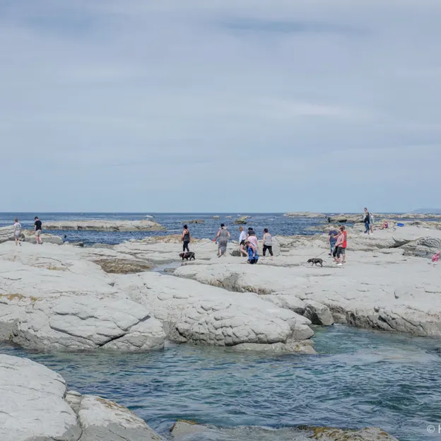 24.10.2020 Kaikoura With Family — photograph 35 of 64