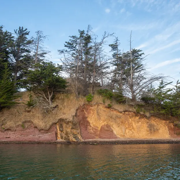 27.1.2020 Little River & Onawe Peninsula — photograph 29 of 32