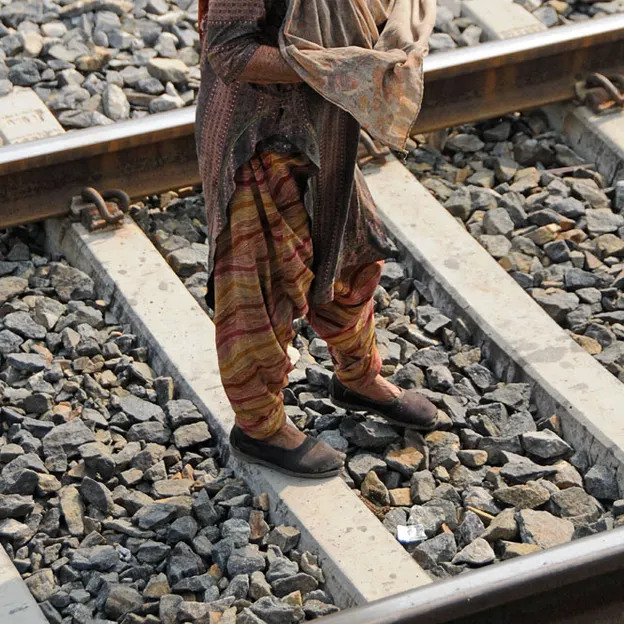 Incredible India 2010 — photograph 53 of 289