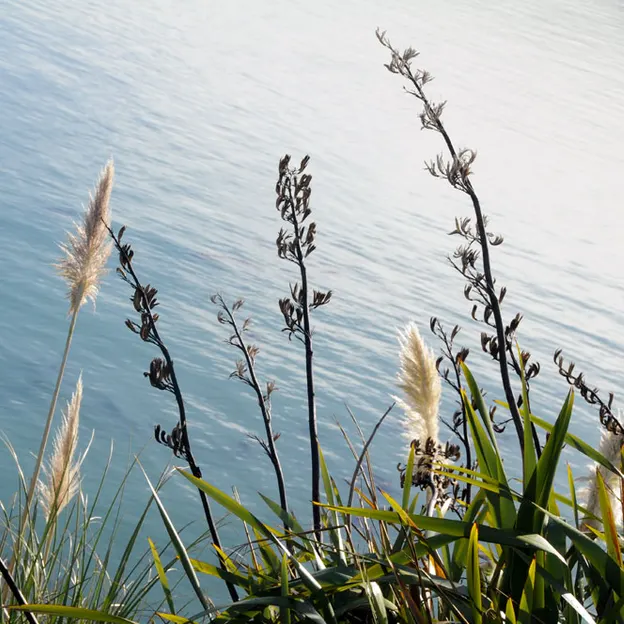 Kiwiana 1995 - 2010 — photograph 17 of 115