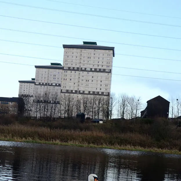 Glasgow 2012 — photograph 30 of 228
