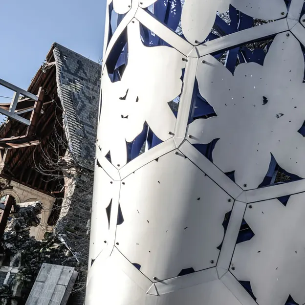 The Day The Christchurch Cordon Came Down — photograph 11 of 36