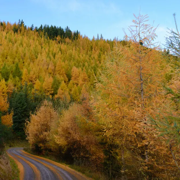 Hanmer Springs In Autumn — photograph 12 of 24