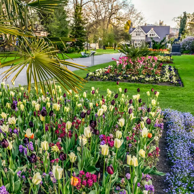 Springtime At The Christchurch Botanical Gardens — photograph 24 of 86