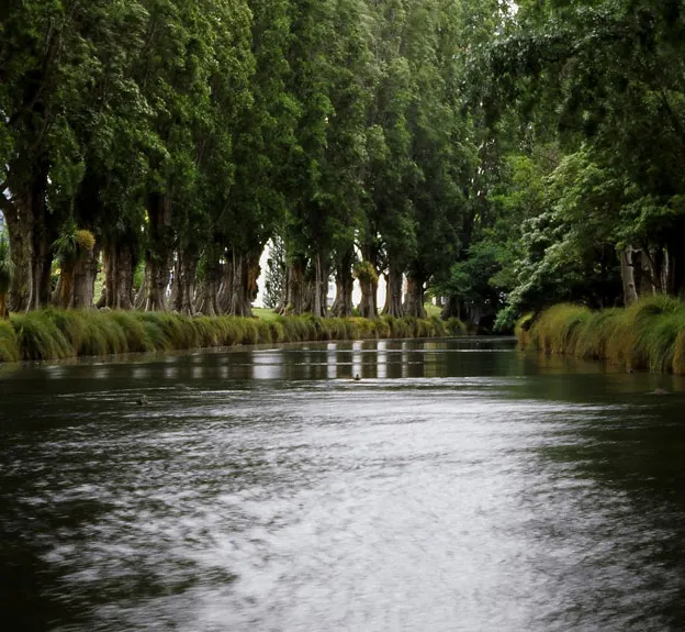Christchurch, New Zealand — photograph 55 of 105