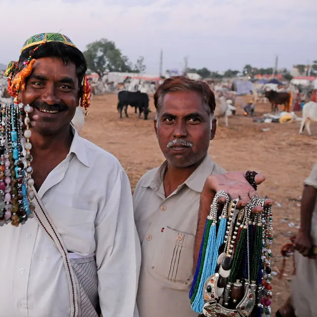 Incredible India 2010 — photograph 114 of 289