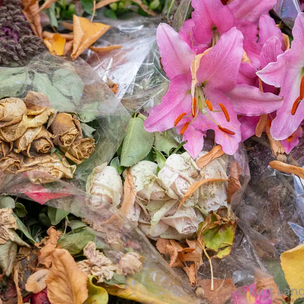 National Remembrance Service 29.03.2019 — photograph 61 of 93