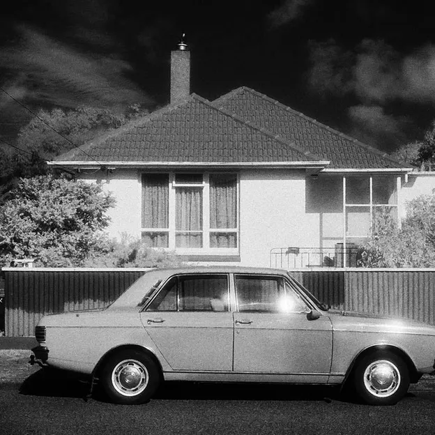 Kiwiana 1995 - 2010 — photograph 29 of 115