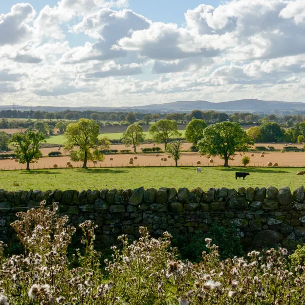 Edinburgh's Beautiful Countryside — photograph 30 of 34
