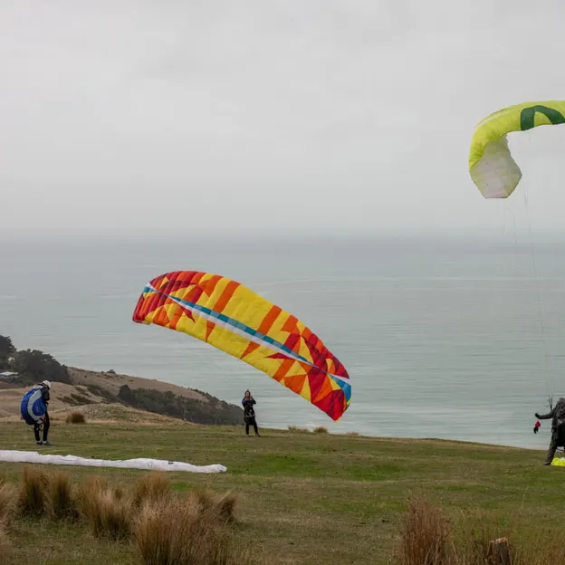 23.5.2020 Godley Head — photograph 2 of 54