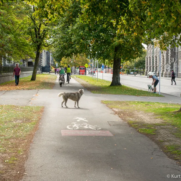 28.3.2020 In The City On Bike — photograph 132 of 179