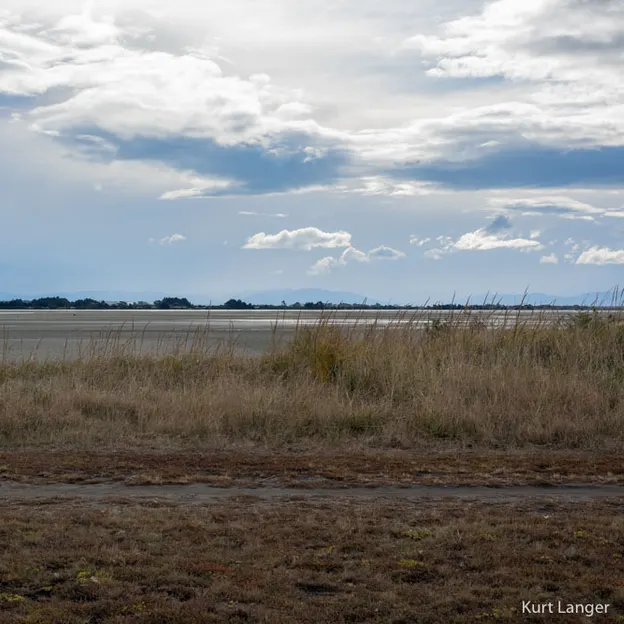 27.4.2020 Southshore Spit — photograph 9 of 26