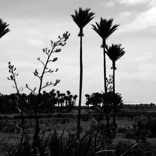 NZ Scenery — photograph 24 of 76