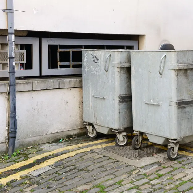 Rubbish Bins — photograph 14 of 16