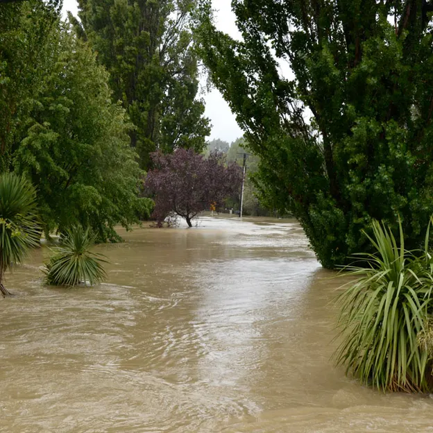 The Big Rainfall — photograph 12 of 50