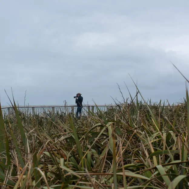 8.1.2020 Punakaiki — photograph 26 of 99