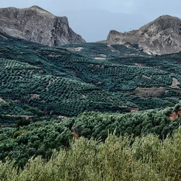 Crete — photograph 30 of 40