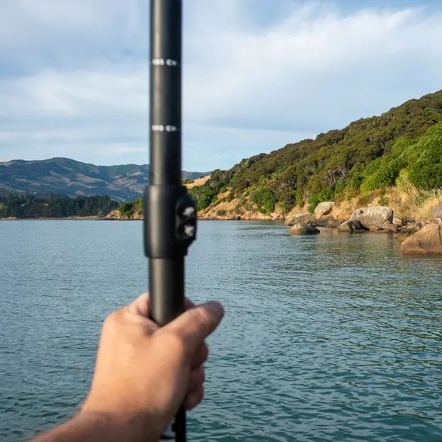 27.1.2020 Little River & Onawe Peninsula — photograph 15 of 32