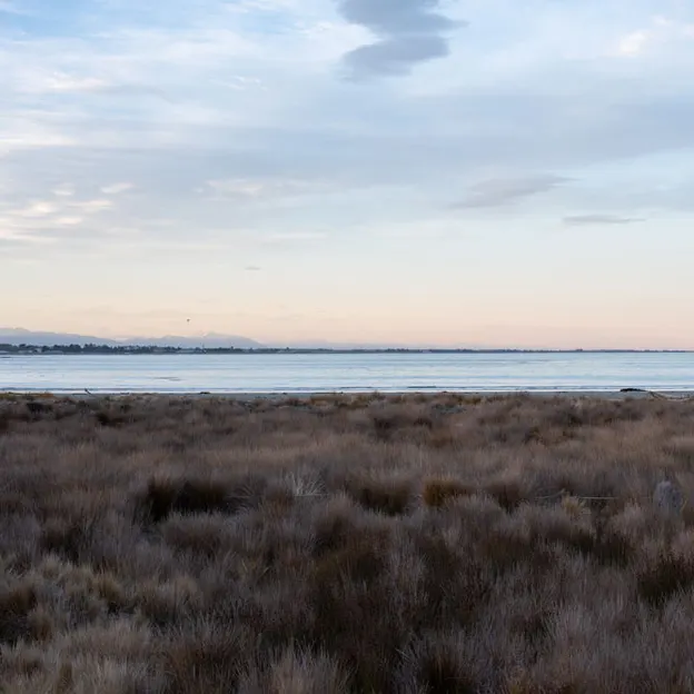 2.10.2020 Trip To Timaru (part 1)  — photograph 128 of 141