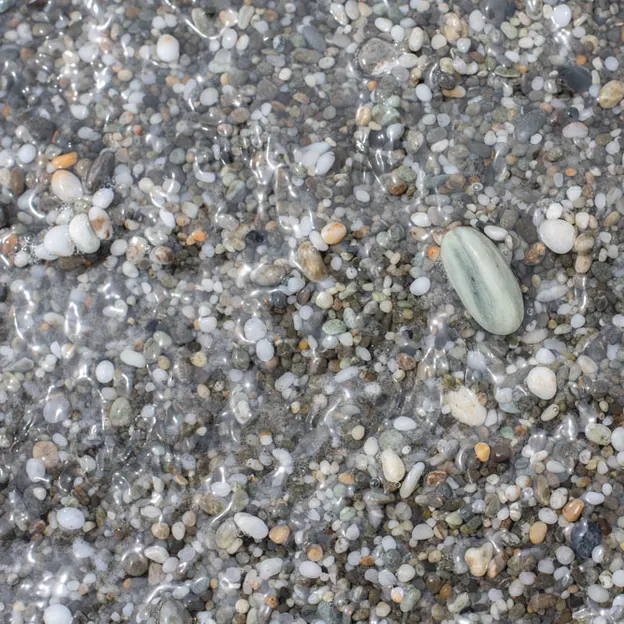 8.1.2020 Punakaiki — photograph 34 of 99
