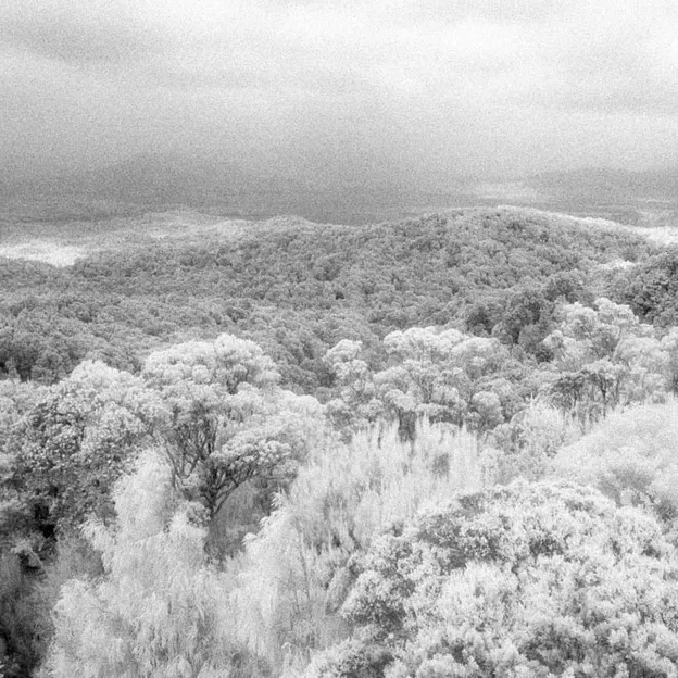 2001 Negative Film Scans — photograph 10 of 32