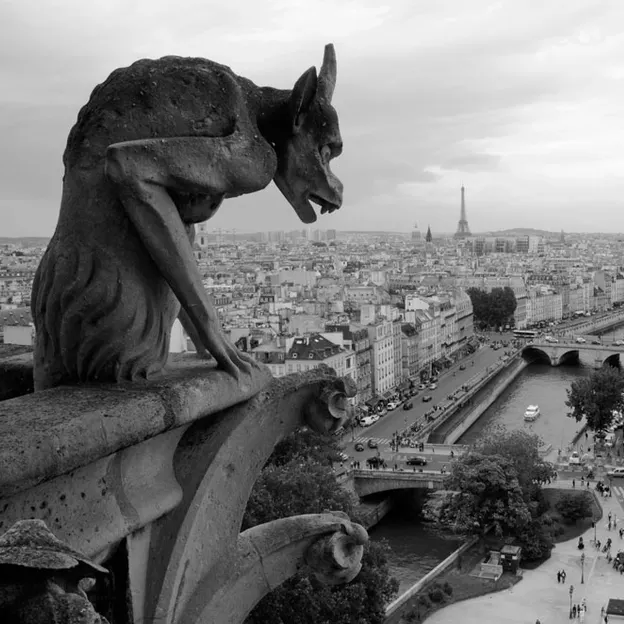 Paris 2012 — photograph 46 of 140