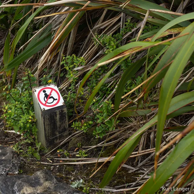 8.1.2020 Punakaiki — photograph 22 of 99