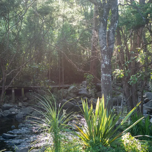 27.12.2020 Camping At Little River — photograph 18 of 100