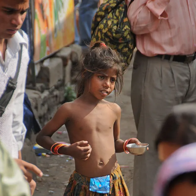 Incredible India 2010 — photograph 161 of 289