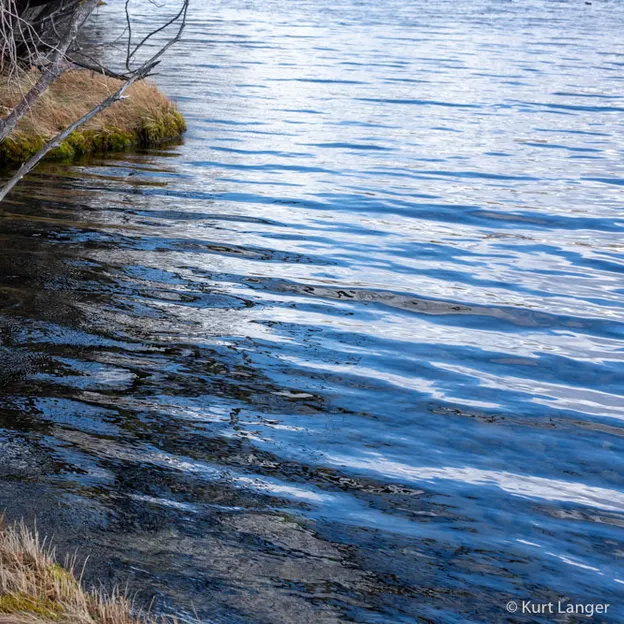 3.9.2020 Tekapo Trip — photograph 145 of 200