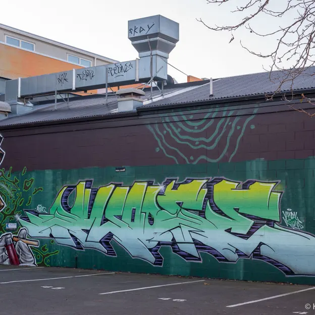 19.4.2020 Parked Up At Pak N Save  — photograph 28 of 58
