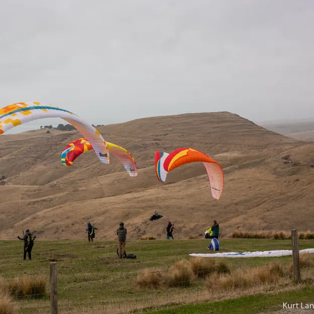 23.5.2020 Godley Head — photograph 1 of 54