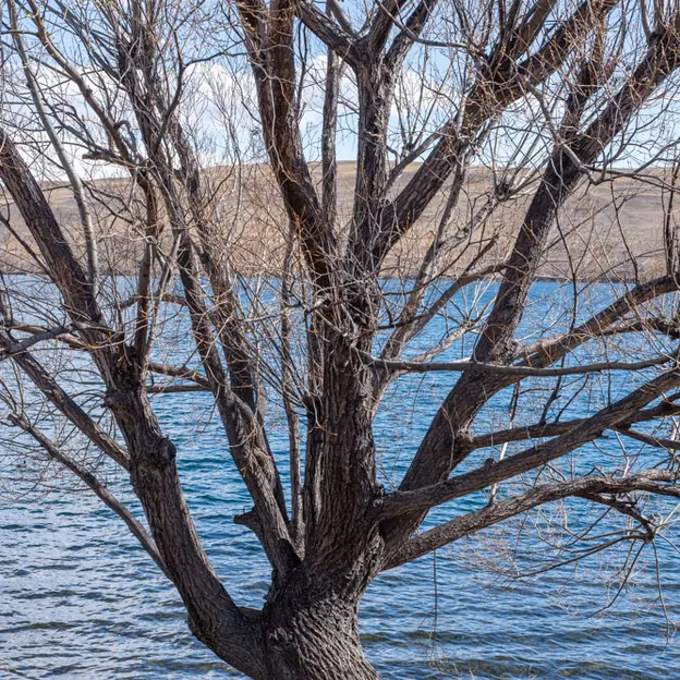 3.9.2020 Tekapo Trip — photograph 116 of 200