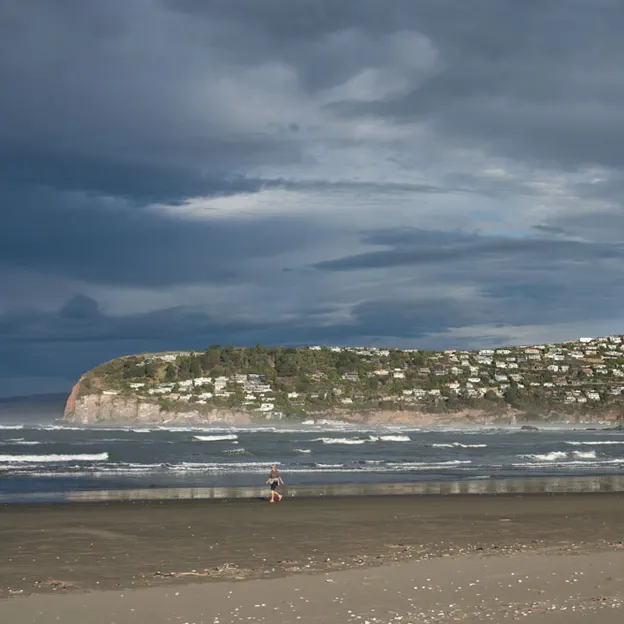 27.4.2020 Southshore Spit — photograph 26 of 26