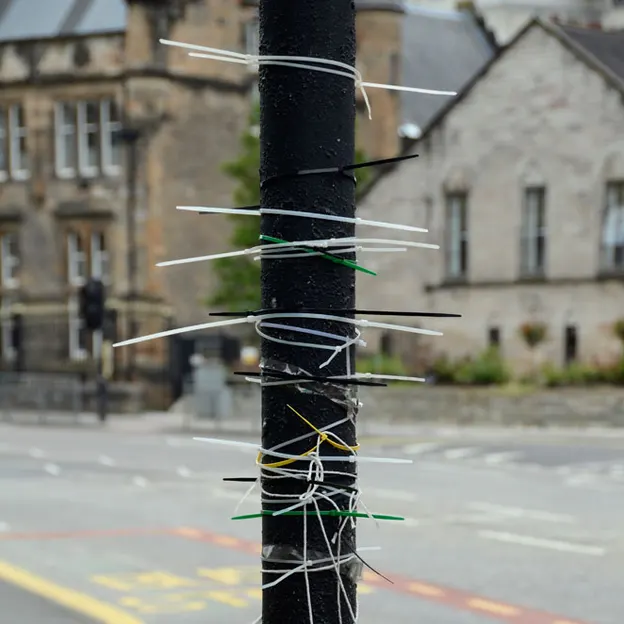 Glasgow 2012 — photograph 139 of 228