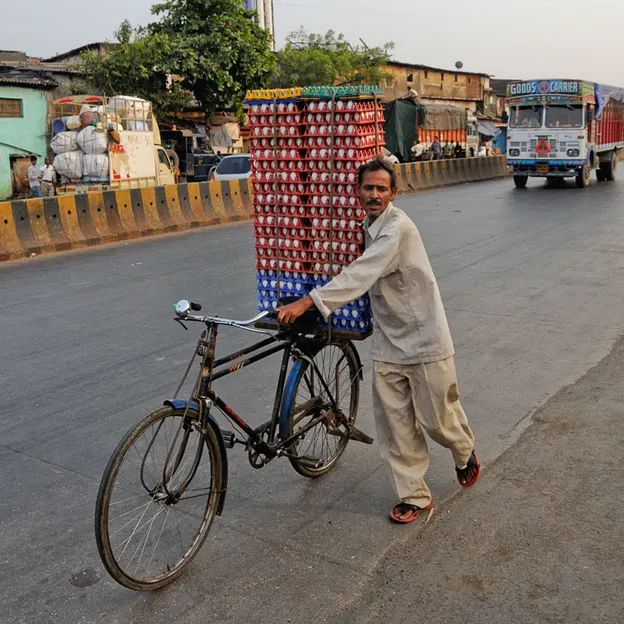 Incredible India 2010 — photograph 238 of 289