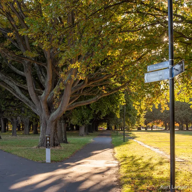 25.4.2020 North Hagley Park — photograph 26 of 38