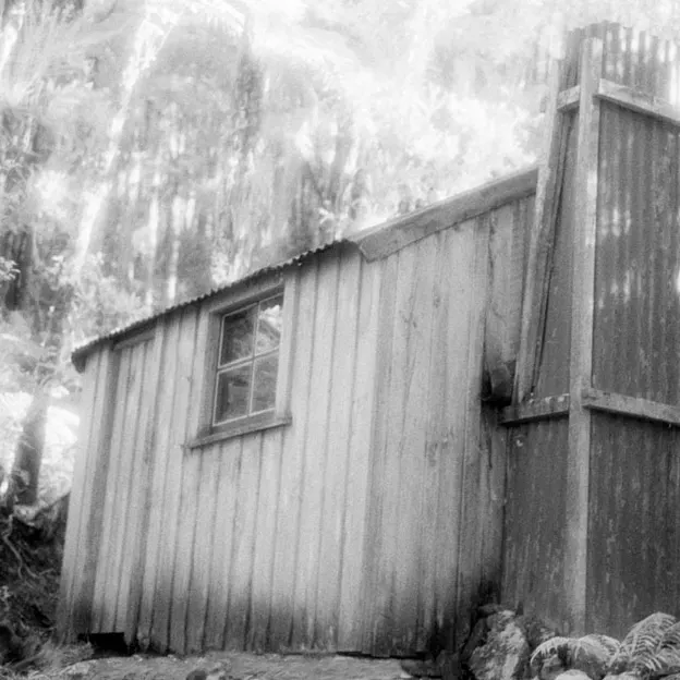 2005 Negative Film Scans — photograph 31 of 42